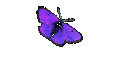 Kosmos-Astral