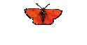 Kosmos-Astral